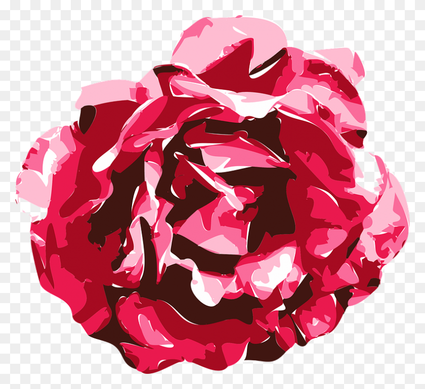 790x720 Роза Векторная Графика Рисунок Модель Текстура Рисунок Красной Розы, Растение, Цветок, Цветение Hd Png Скачать