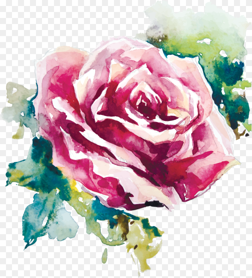 Rose Vector Rose Painting Vector, Flower, Plant, Art Clipart PNG