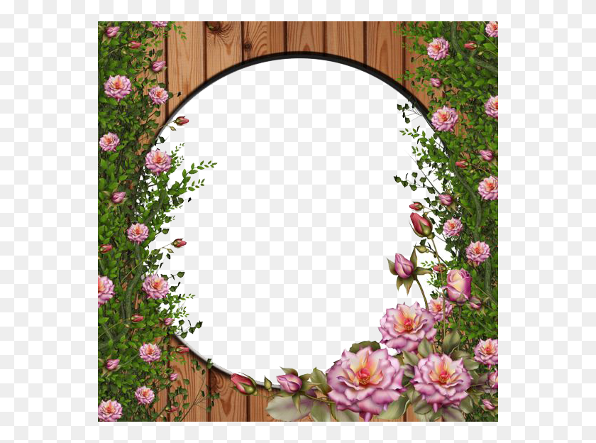 564x564 Rose Vine Flower Picture Frame, Wreath, Plant, Blossom Descargar Hd Png