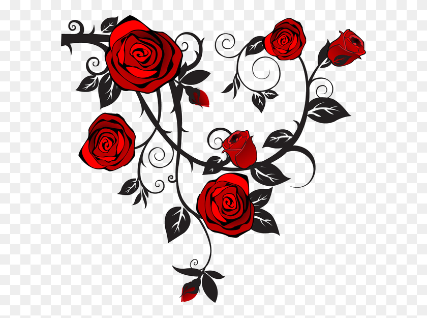 600x565 Rose Vine Rose Vines, Graphics, Floral Design HD PNG Download
