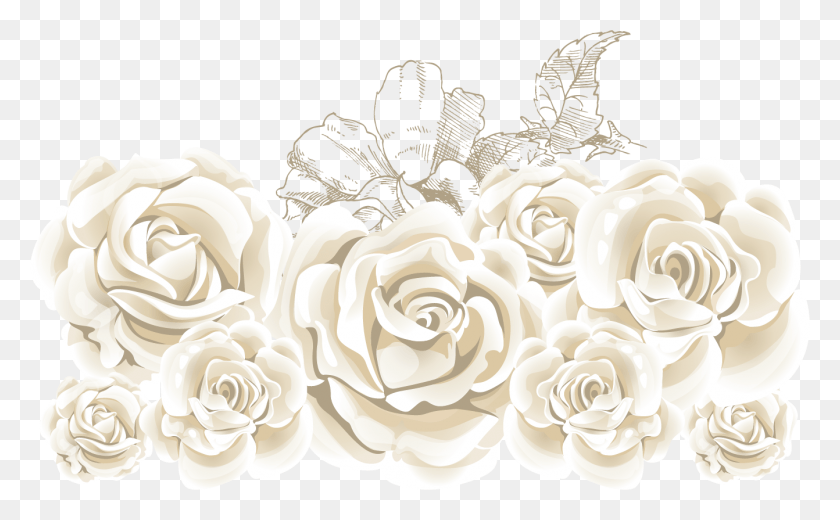 1342x792 Rose White Clip Art Image White Rose, Flower, Plant, Blossom Descargar Hd Png