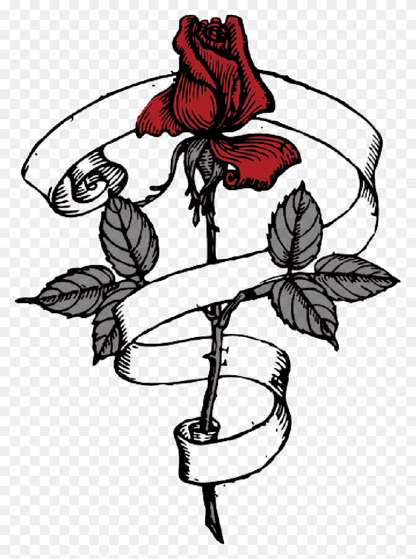800x1096 Rose With Ribbon Clip Art, Graphics, Floral Design HD PNG Download