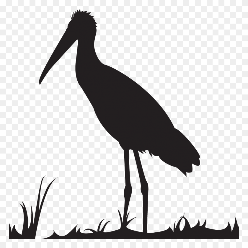 1024x1024 Roseate Spoonbill Ciconiiformes, Crane Bird, Bird, Animal HD PNG Download