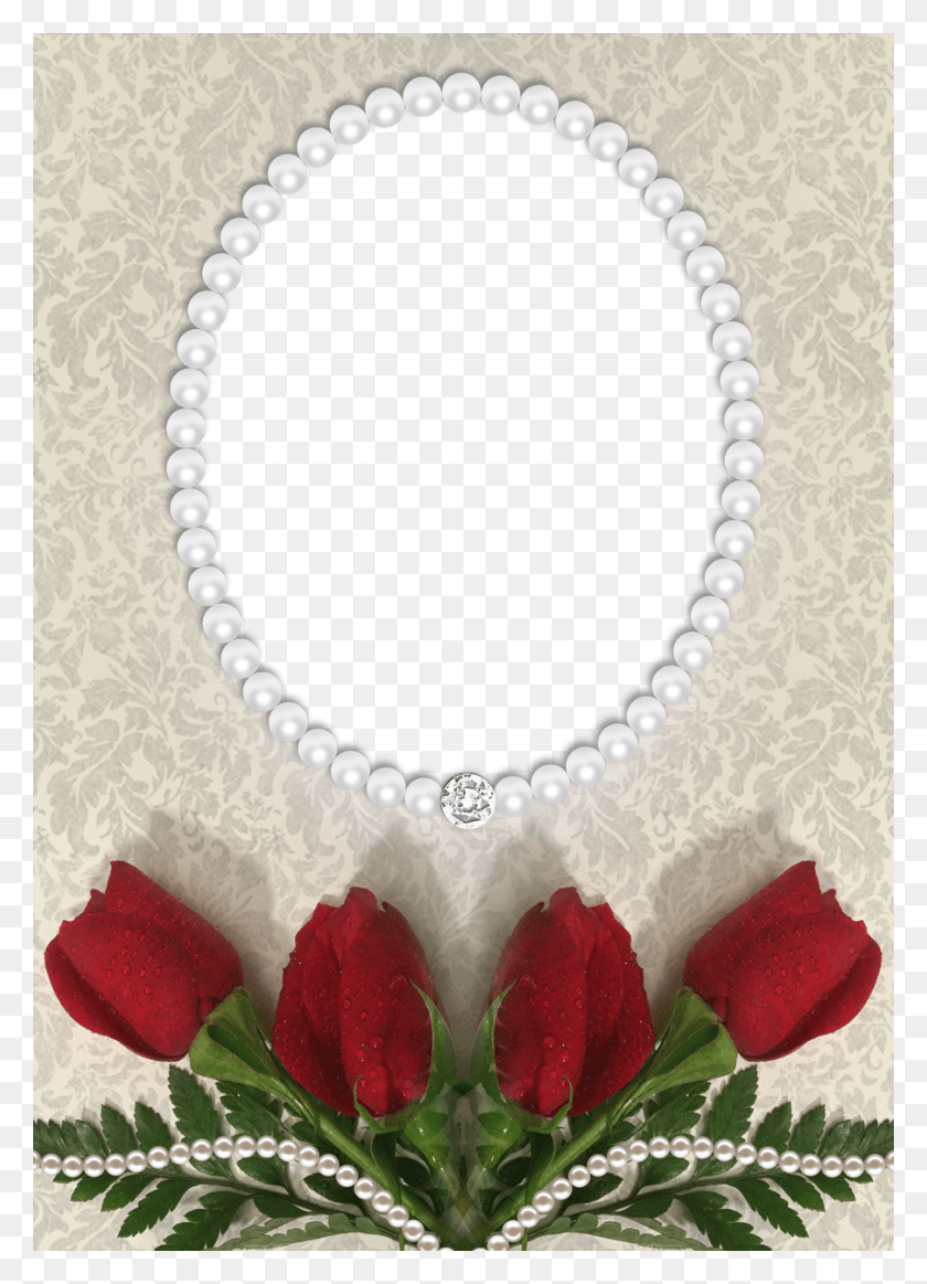 902x1276 Roses And Pearls Transparent Frame Transparent Background Frame, Plant, Flower, Blossom HD PNG Download