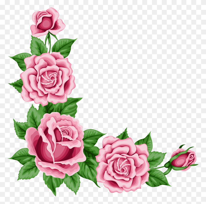 5062x4994 Roses Corner Decoration Clipart Picture Rose Corner Border, Plant, Flower, Blossom HD PNG Download