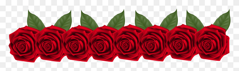 7683x1889 Roses Decoration Transparent Clip Art Image Fila De Rosas HD PNG Download