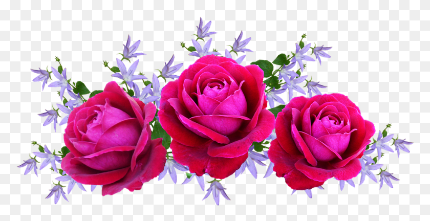 938x448 Красные Розы Дэвид Остин Цветочная Композиция Arranjos De Rosas, Растение, Роза, Цветок Png Скачать
