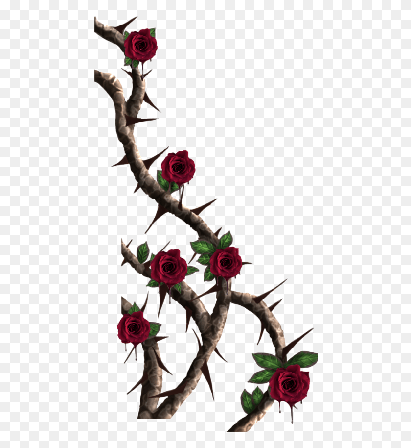 461x854 Roses Sticker Thorns, Plant, Rose, Flower HD PNG Download