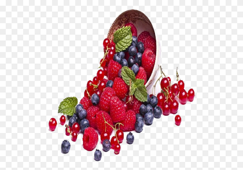 513x528 Rostaa Std Pouch Mix Berries Mix Berry, Plant, Blueberry, Fruit HD PNG Download