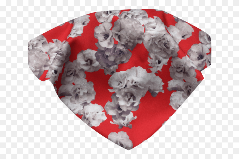 649x498 Rosy O Bandana Top Dog Licks, Popcorn, Food, Cat Descargar Hd Png