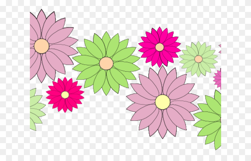 640x480 Rotor 3d Crankset Fixed, Daisy, Flower, Plant HD PNG Download