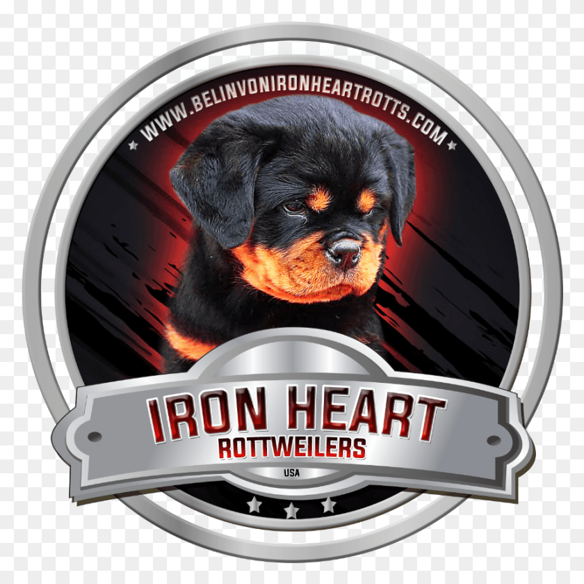 857x857 Rottweiler, Label, Text, Logo HD PNG Download