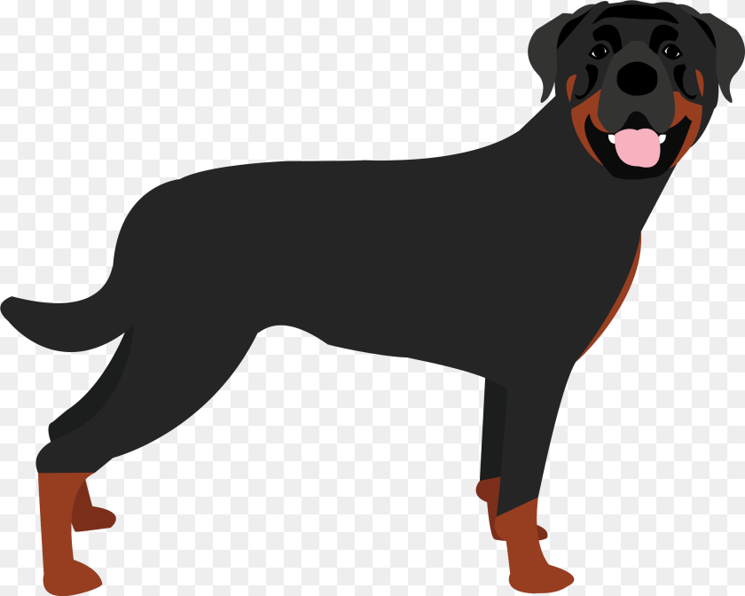 2944x2356 Rottweiler Base, Animal, Canine, Dog, Labrador Retriever Sticker PNG