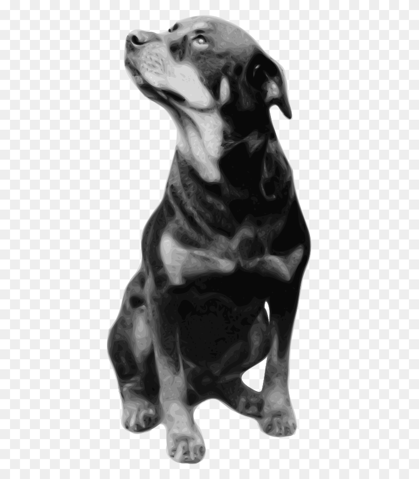 411x900 Rottweiler Rottweiler Drawing Sitting, Person, Human, Pet HD PNG Download