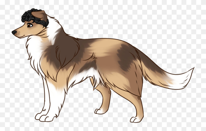 753x476 Rough Collie, Horse, Mammal, Animal HD PNG Download