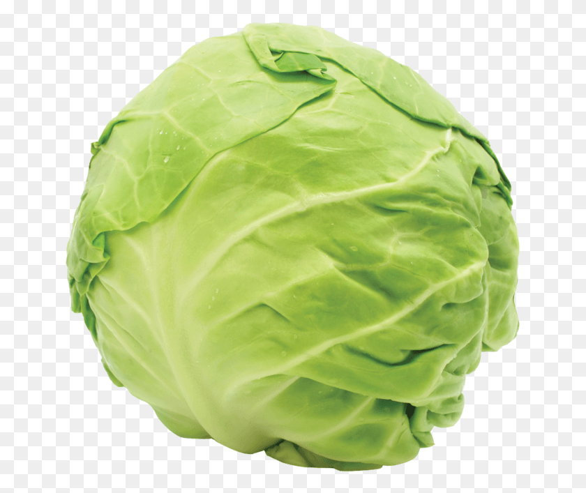 653x647 Round Cabbage Kapusta, Plant, Vegetable, Food HD PNG Download