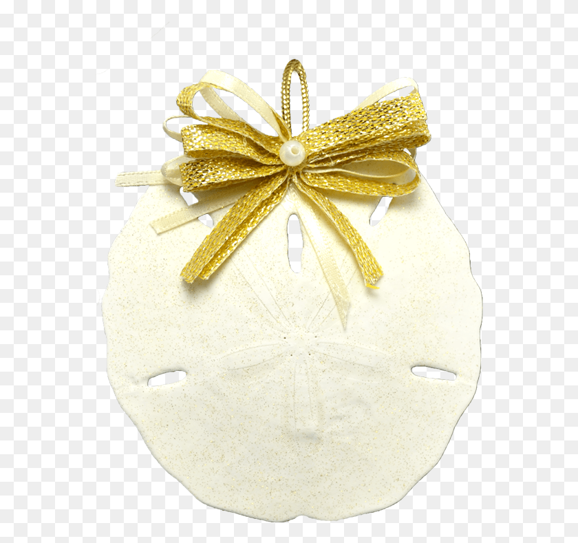 565x729 Round Sand Dollar Christmas Holidays Ornament 3 4 Insect, Invertebrate, Animal, Treasure HD PNG Download