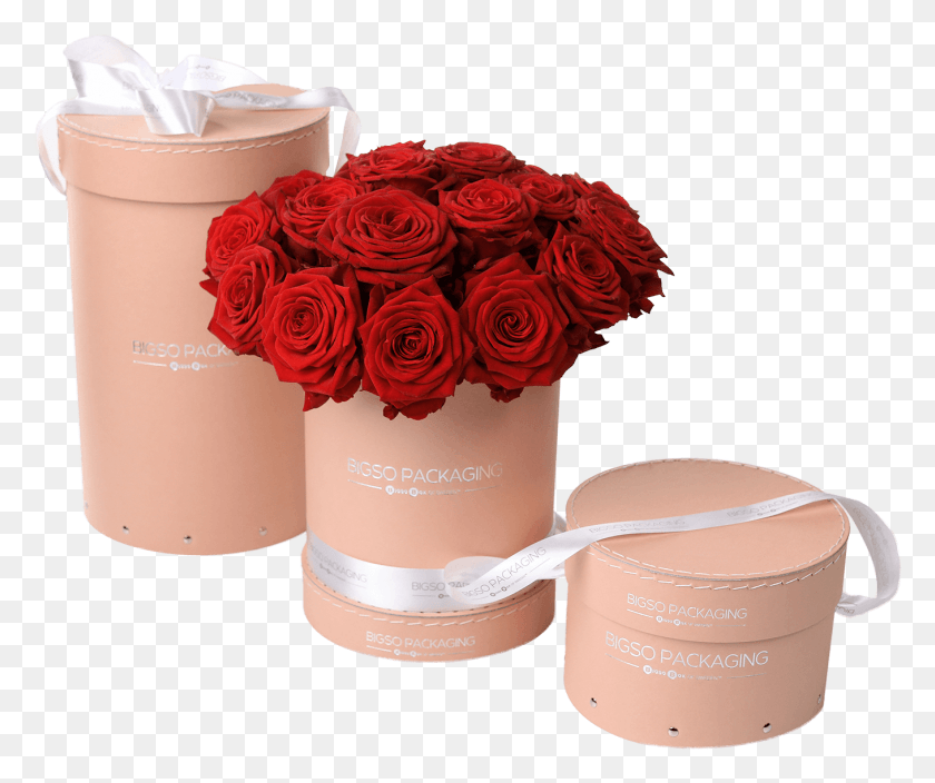 1358x1122 Round Sewed Flower Box With Lid Garden Roses, Rose, Plant, Blossom HD PNG Download