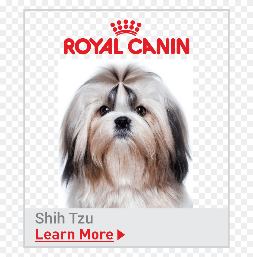 687x792 Royal Canin Breed Specific Shih Tzu Food Royal Canin Dog Food Mini Adult, Dog, Pet, Canine HD PNG Download