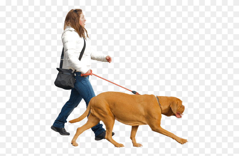 485x488 Royal Squad Kennel People Walking With Dog, Person, Human, Pet HD PNG Download