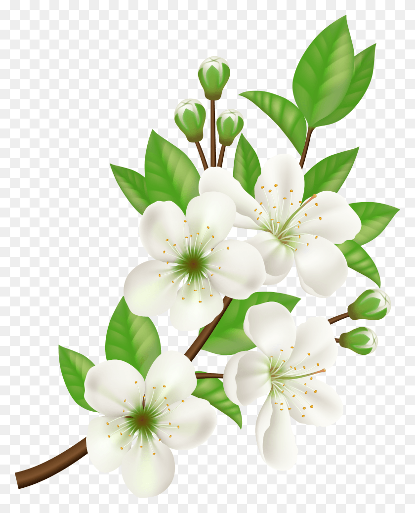 1479x1855 Png Компьютерные Иконки Цветок Белый Цветок Вектор, Растение, Цветение, Лилия Png Скачать