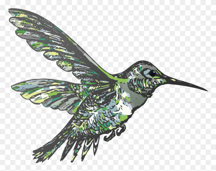 792x613 Royalty Free Flying Vector Rooweb Flyinh Ruby Throated Hummingbird, Bird, Animal, Snake HD PNG Download