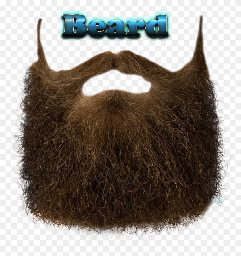 1002x1073 Royalty Free Names Free Beard Texture, Face HD PNG Download