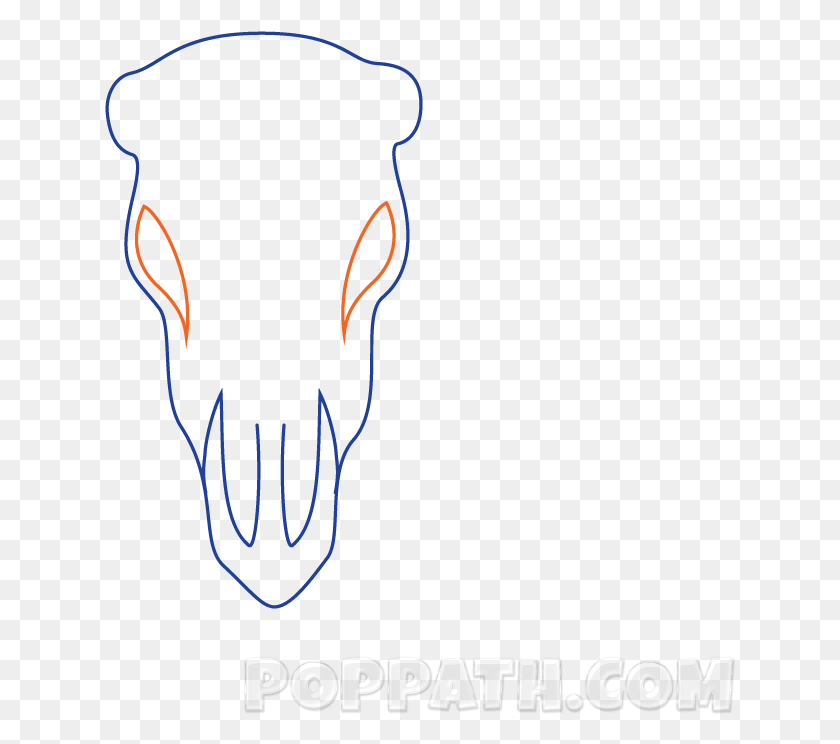 632x684 Royalty Free Stock How To Draw A Skull Pop Path, Light, Graphics HD PNG Download