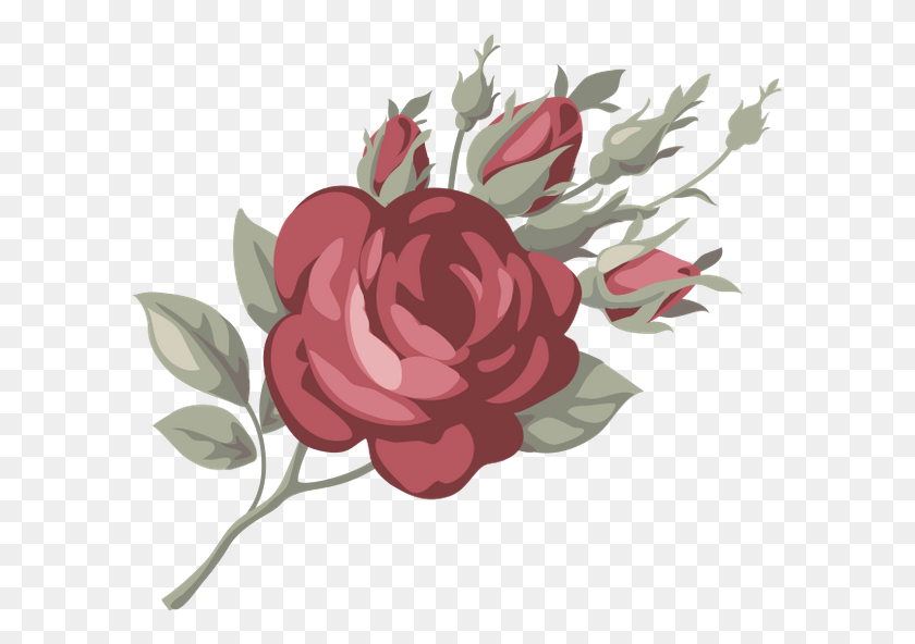 600x532 Роза Цветок Розы Красная Роза Садовые Розы, Растение, Цветок, Цветение Hd Png Скачать