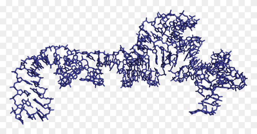 783x381 Rrna From The Crystal Structure Of The Large Ribosomal 5s Rrna Structure, Text, Lighting, Outdoors HD PNG Download