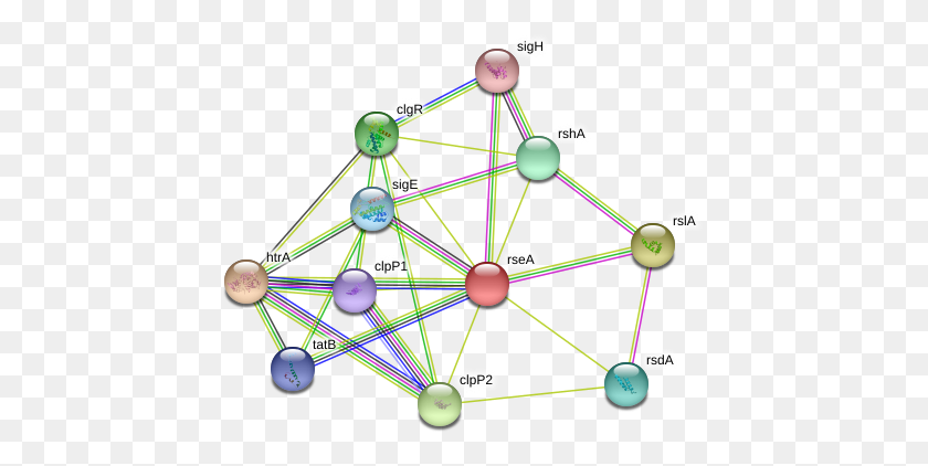 440x362 Rsea Protein, Network, Building, Diagram HD PNG Download