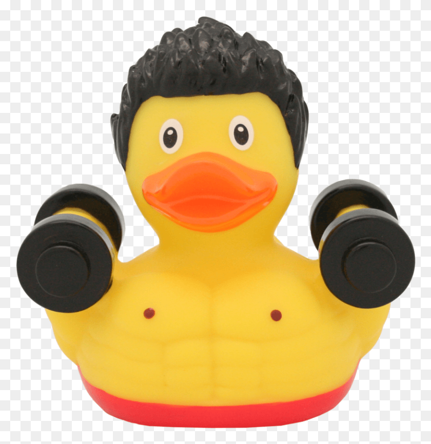 813x840 Rubber Duck Bodybuilder Duck, Toy, Electronics, Plush Descargar Hd Png