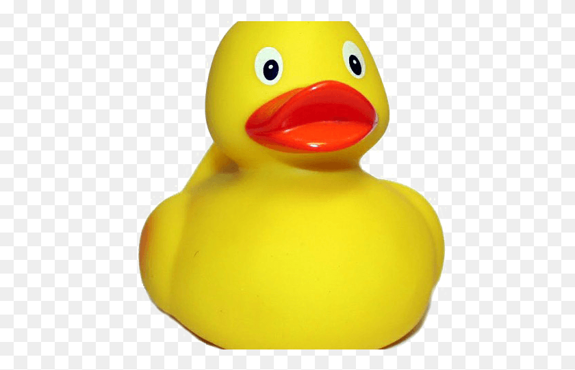 465x481 Rubber Duck Free Bath Toy, Beak, Bird, Animal HD PNG Download