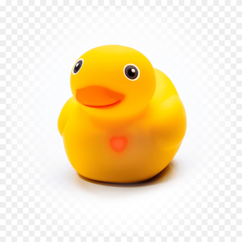 1000x1000 Rubber Duck Photo Doll Duck, Toy, Figurine, Animal HD PNG Download