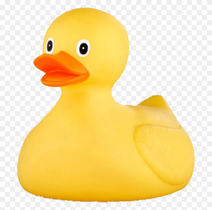 705x772 Rubber Ducky Large, Duck, Bird, Animal HD PNG Download