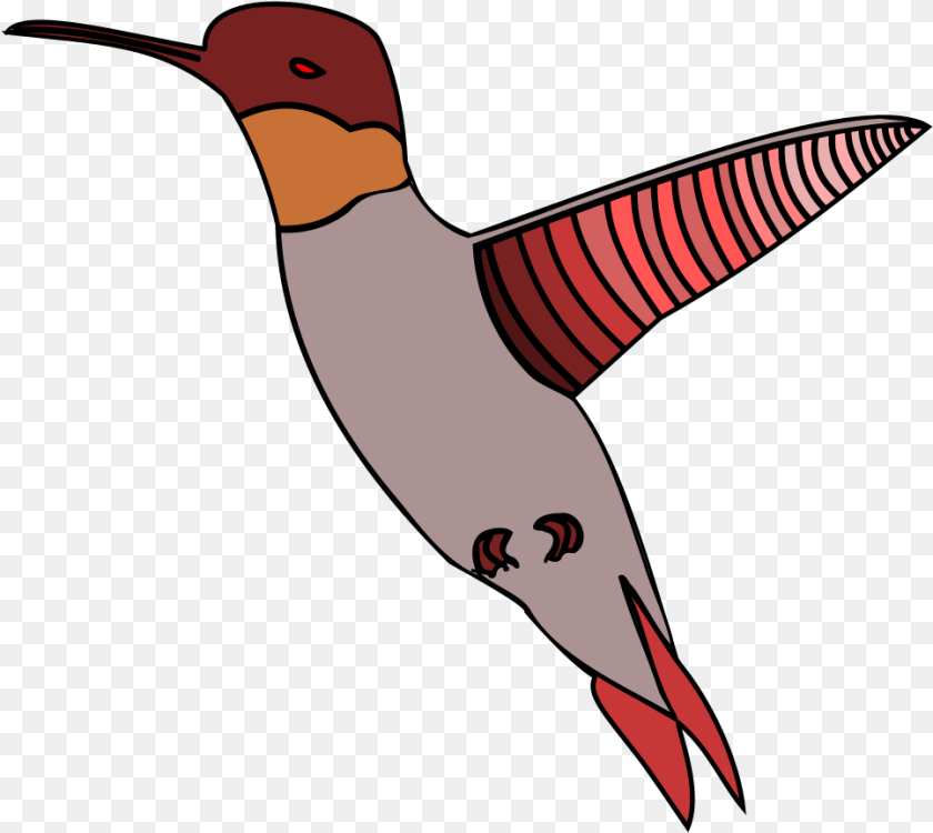 966x863 Ruby Throated Hummingbird, Animal, Bird Clipart PNG