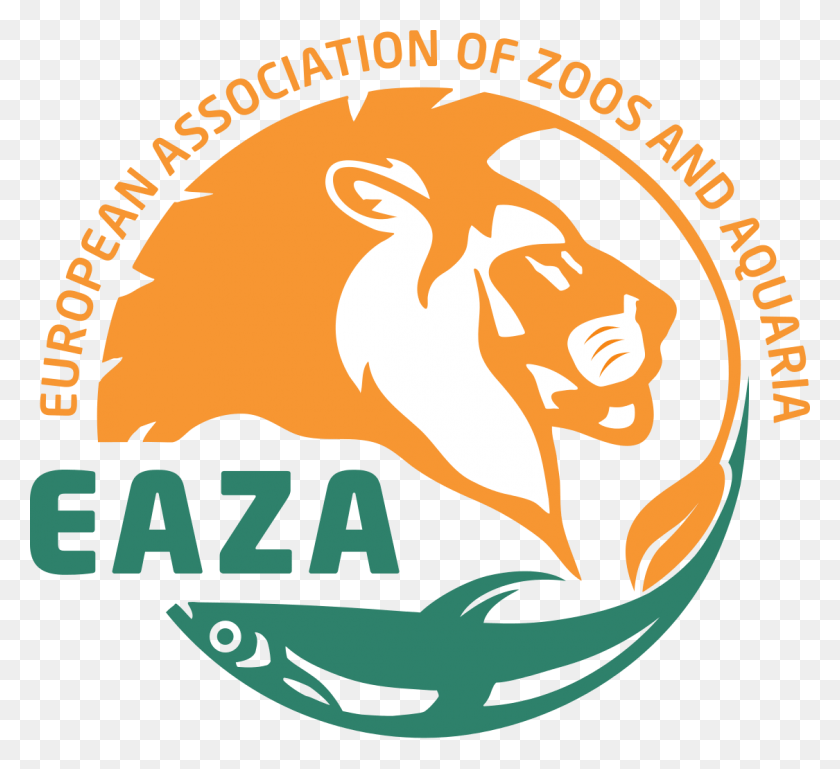 1125x1024 Rudiger Who Is Out Of Worldcom Case Study Analysis Eaza Zoo, Logo, Symbol, Trademark HD PNG Download