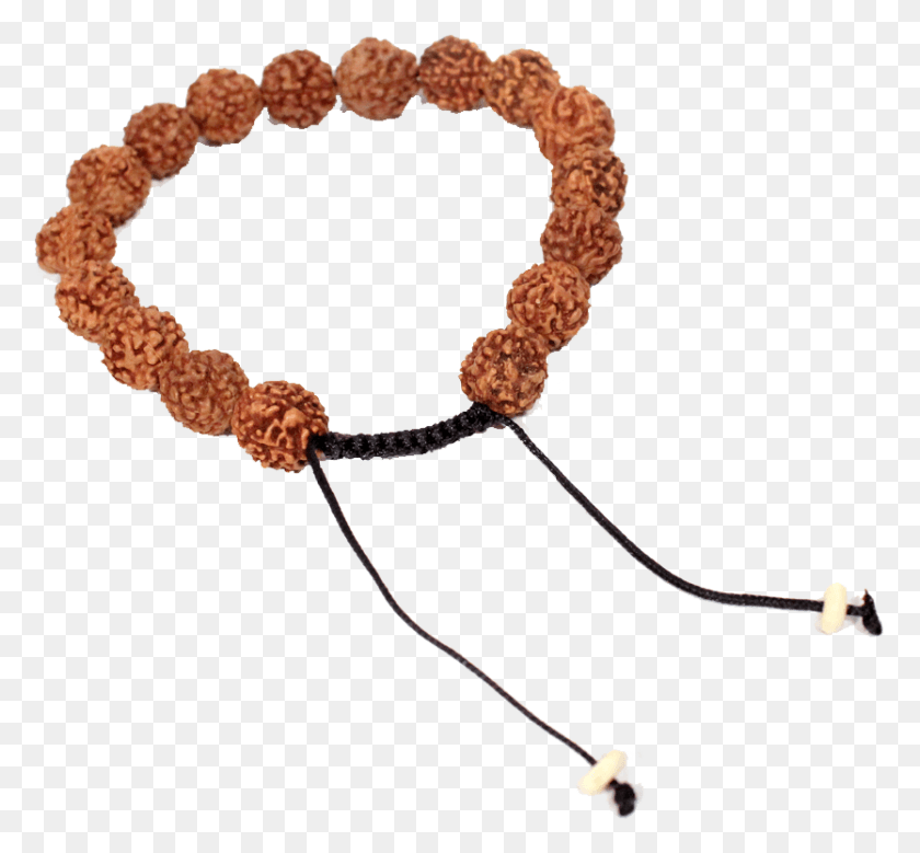 834x769 Rudraksha Bracelet Bracelet Perle Amethyste, Accessories, Accessory, Jewelry HD PNG Download