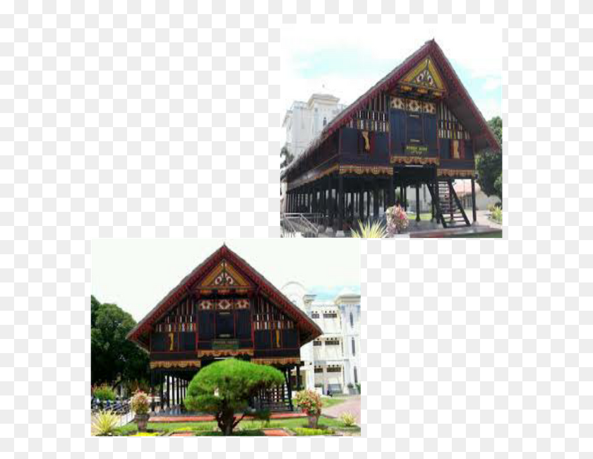 589x590 Rumah Adat Aceh, Building, Grass, Plant HD PNG Download
