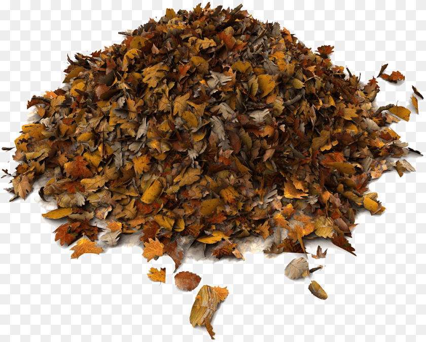 998x801 Rummage Sale Pile Of Leaves Brown Leaf Pile, Plant, Herbal, Herbs, Tobacco Clipart PNG