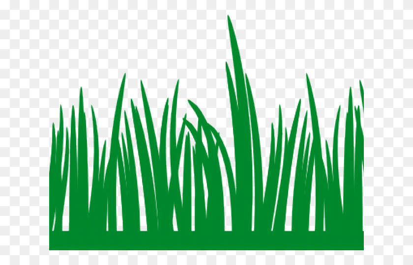 640x480 Rumput Cliparts Grass Icon, Plant, Lawn, Vegetation HD PNG Download