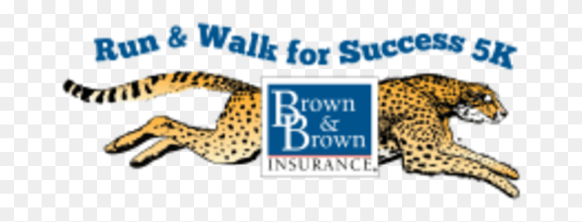 664x261 Run Amp Walk For Success 5k Presented By Brown Amp Brown Brown And Brown Insurance, Mammal, Animal, Wildlife HD PNG Download