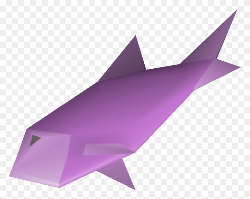 976x760 Runescape 2007 Salmon, Lighting, Paper HD PNG Download