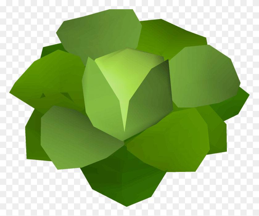 1200x987 Runescape Cabbage, Plant, Green, Vegetable HD PNG Download