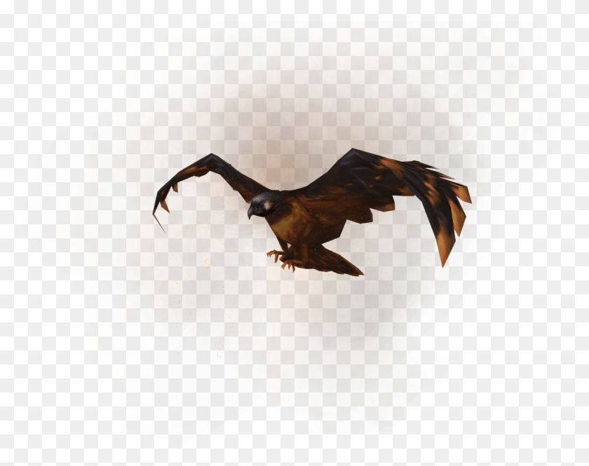 1155x897 Runescape Lava Hawk, Bird, Animal, Nature HD PNG Download