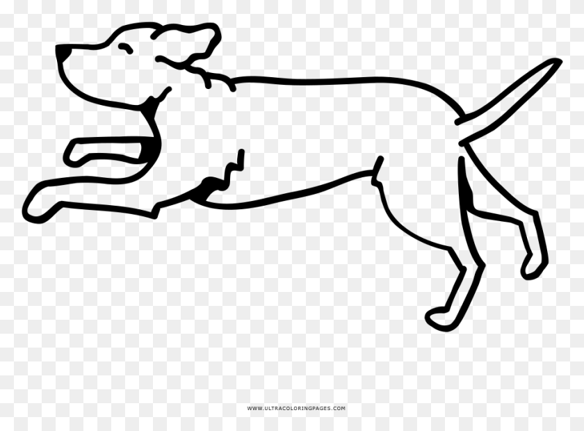 915x657 Running Dog Coloring, Gray, World Of Warcraft HD PNG Download