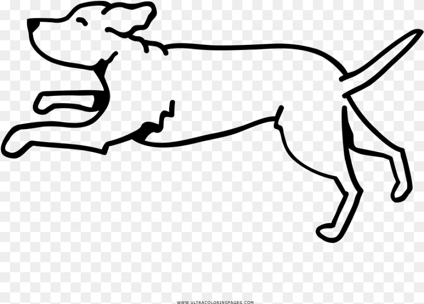 Running Dog Coloring, Gray PNG