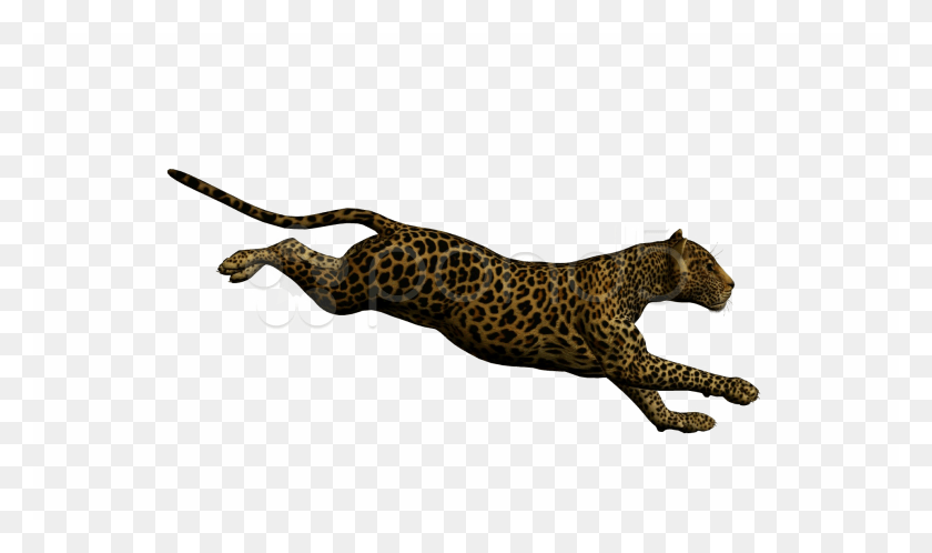 1920x1080 Running Leopard Photo Guepardo Corriendo Fondo Blanco, La Vida Silvestre, Animal, Mamífero Hd Png