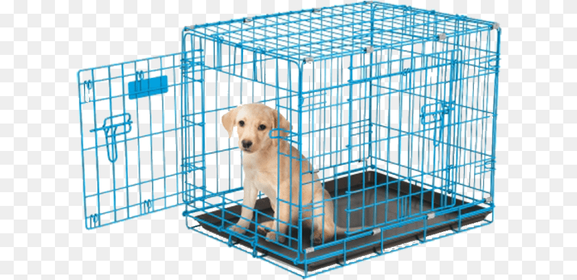 Rural King Dog Cages, Den, Indoors, Animal, Canine Transparent PNG
