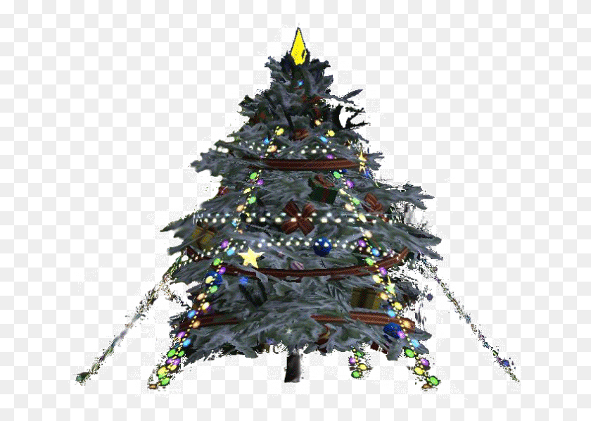 647x538 Descargar Png / Rvore De Natal Christmas Tree, Tree, Ornamento, Planta Hd Png